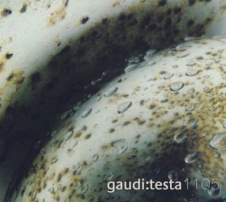 Gaudi:Testa 1105