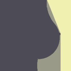 I'll Have You Naked by the End of This ROM