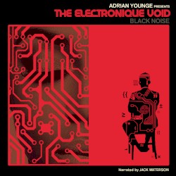 Adrian Younge Presents The Electronique Void: Black Noise