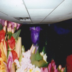 URGENT MY BLOOD FOR YOU