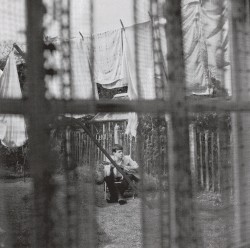 Chaos and Creation in the Backyard