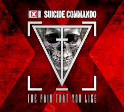 The Pain That You Like