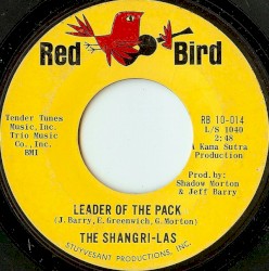 Leader of the Pack / What Is Love