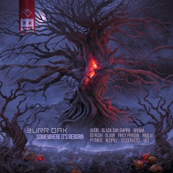 Somewhere It’s Reborn