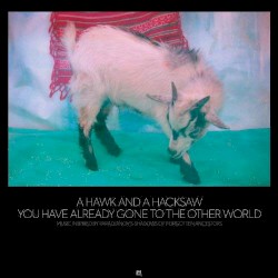 You Have Already Gone to the Other World