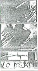 Here's the Actual Nature of Death