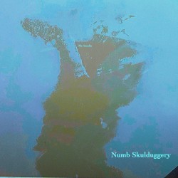 Numb Skulduggery