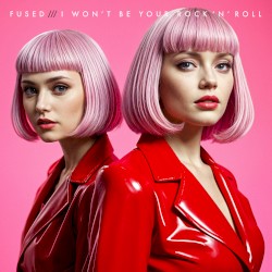 I Won't Be Your Rock 'n' Roll