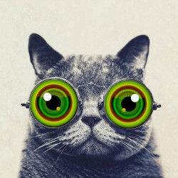 The Really Simple Album