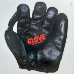 Glove