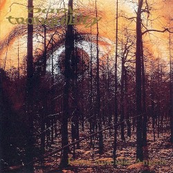 Enter Suicidal Angels