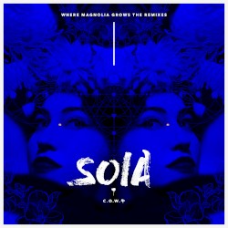 Run With Wolves (C.O.W. 牛 Remix)