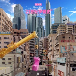 21世纪罗曼史