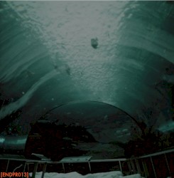 Rain of Your Past EP