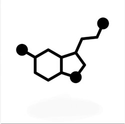 The Scientific Method