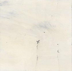 Alternate Moon Cycles