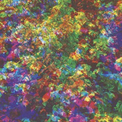 Can’t Do Without You