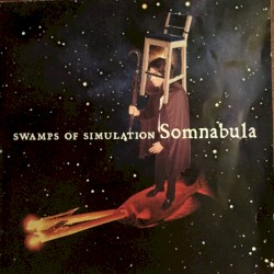 Swamps of Simulation