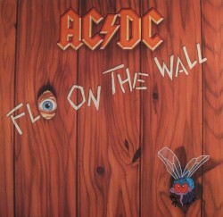Fly on the Wall