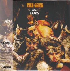 45 Lives