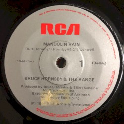 Mandolin Rain