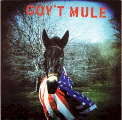 Gov’t Mule