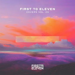 Covers, Vol. 20