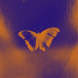 None of the Keys Fit