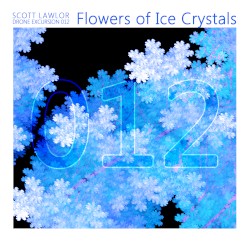 Drone Excursion 012 (Flowers of Ice Crystals)