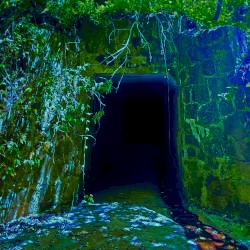 The Wildred Sessions