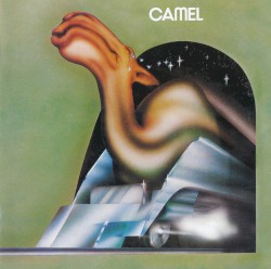 Camel