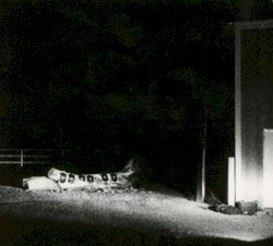 Last Building Burning