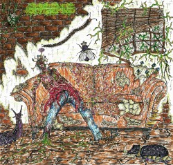 Necrobiology