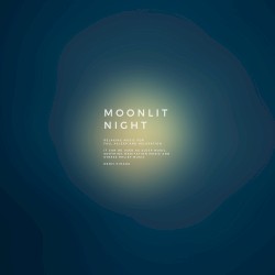 Moonlit Night