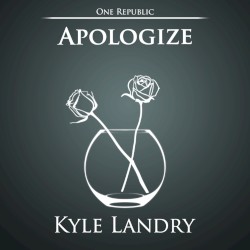 Apologize Variations