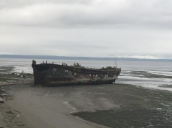 Weston Czerkies and Luke Tandy