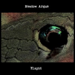 Elapid