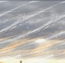 𝘵𝘢𝘭𝘪𝘤𝘴