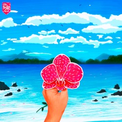 Orchid Oceans