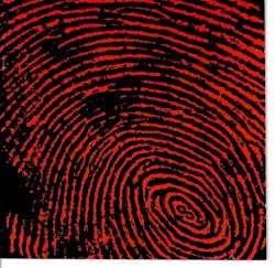 Every Man for Himself