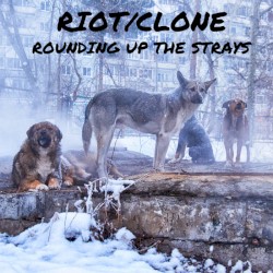 Rounding Up the Strays