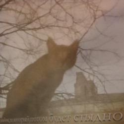альбом, за который потом будет стыдно