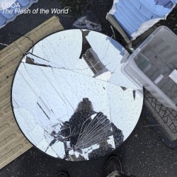 The Flesh of the World