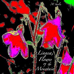 Linnea, Flower of the Mountain
