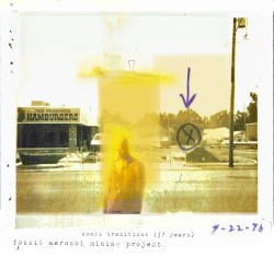 The Shopping Mall Has Long Since Flooded