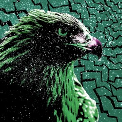 Night Eagle