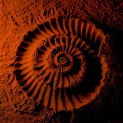 Допълнително