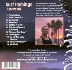Surf Flamingo