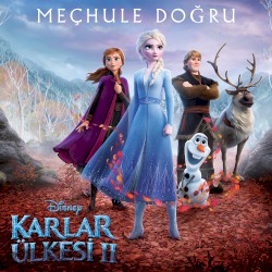 Meçhule Doğru