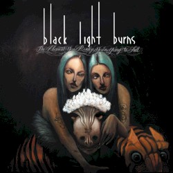 The Moment You Realize You're Going to Fall